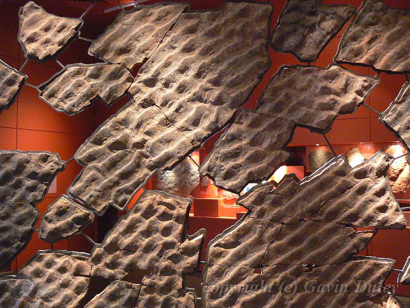 Fossilised Ediacaran sea bed, South Australian Museum P1030632.JPG